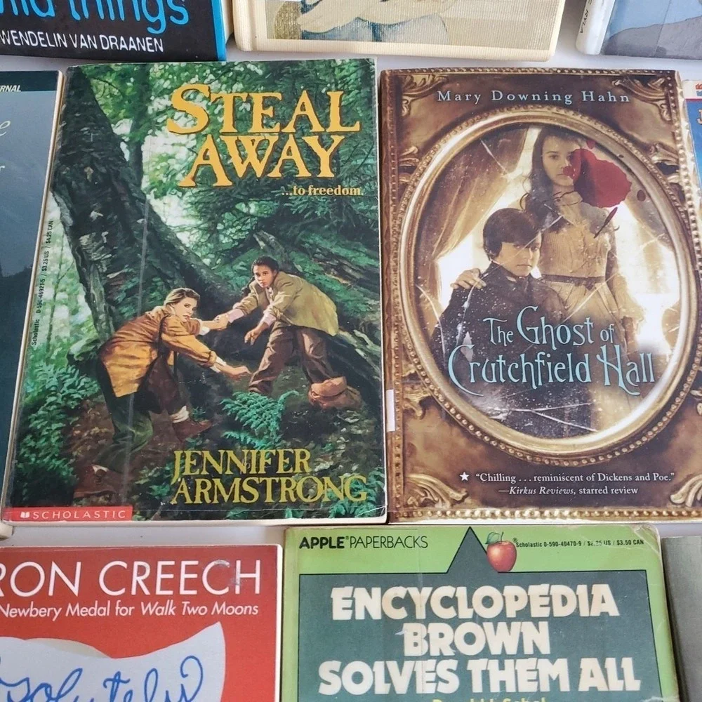 Lot 23 Books PB HB Teacher Classroom Reading Support Readers Homeschool Level‎ 4
